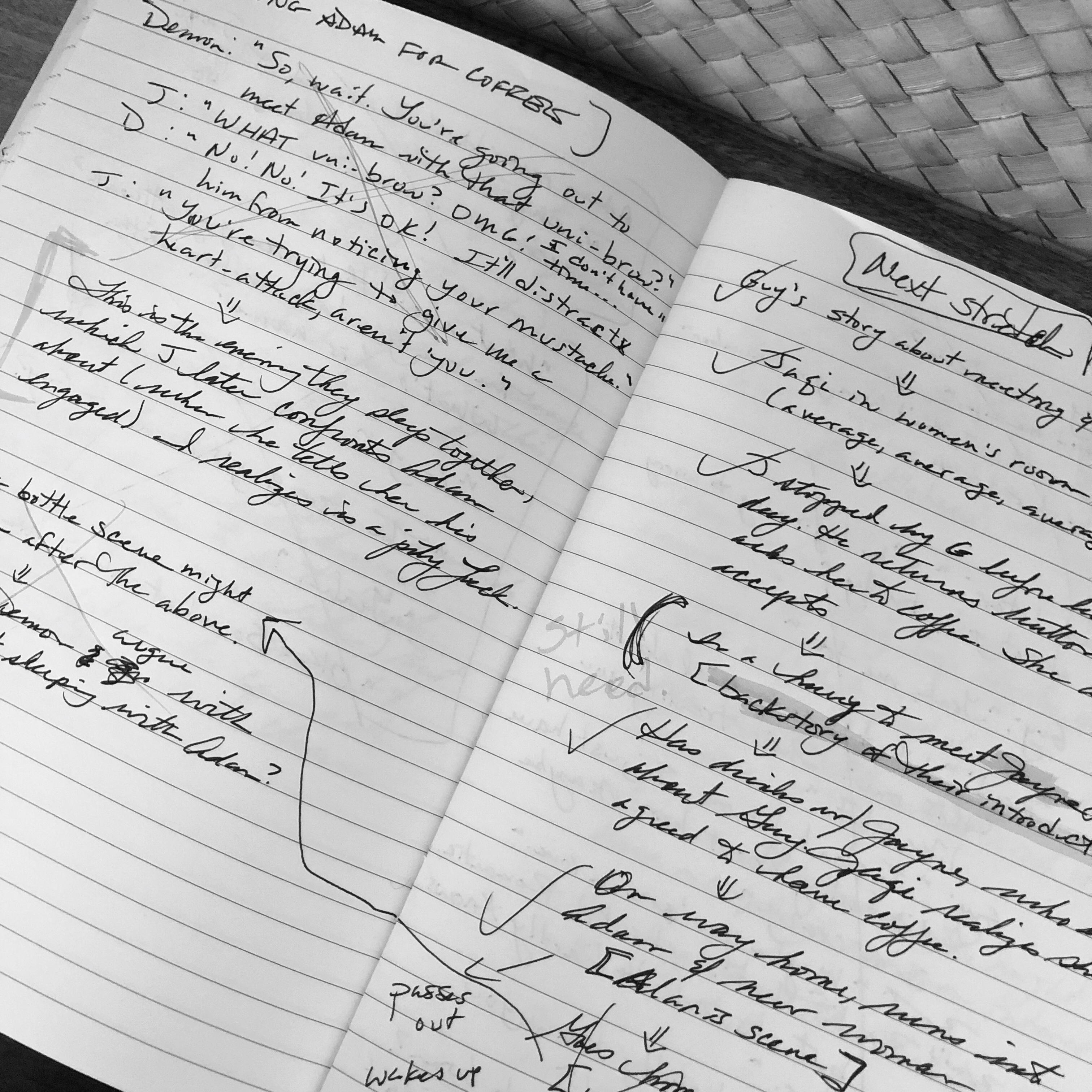 Photo of journal pages